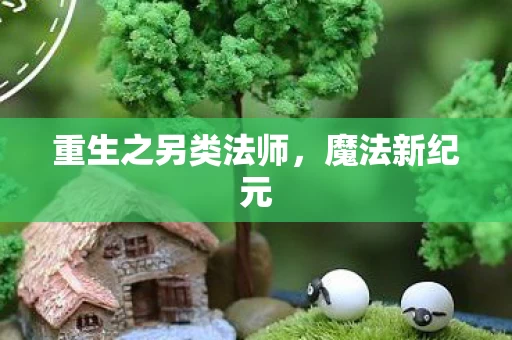 重生之另类法师图片