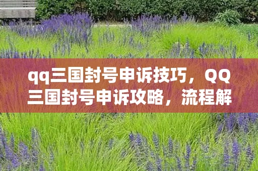 qq三国封号申诉技巧，QQ三国封号申诉攻略，流程解析与注意事项