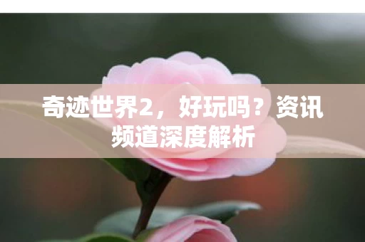 资讯频道深度解析图片