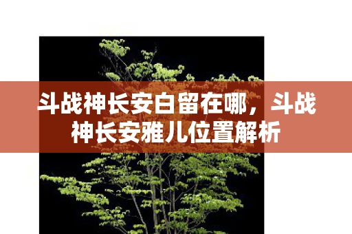 斗战神长安白留在哪,斗战神长安雅儿位置解析 斗战神长安白留在哪,斗战神长安雅儿位置解析
