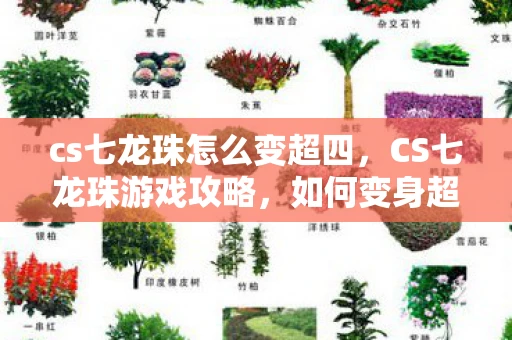 cs七龙珠怎么变超四，CS七龙珠游戏攻略，如何变身超级赛亚人四（超4）
