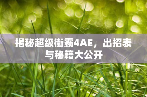 揭秘超级街霸4AE图片
