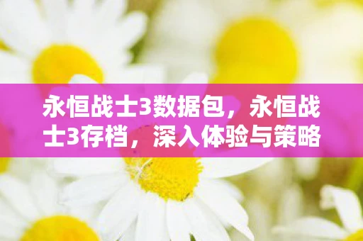 永恒战士3数据包，永恒战士3存档，深入体验与策略探讨