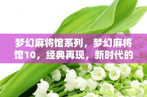 梦幻麻将馆系列，梦幻麻将馆10，经典再现，新时代的麻将传奇