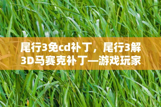 尾行3免cd补丁，尾行3解3D马赛克补丁—游戏玩家的福音