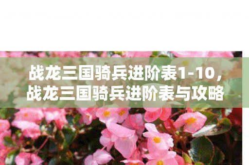 战龙三国骑兵进阶表1-10,战龙三国骑兵进阶表与攻略 战龙三国骑兵进阶表1-10,战龙三国骑兵进阶表与攻略