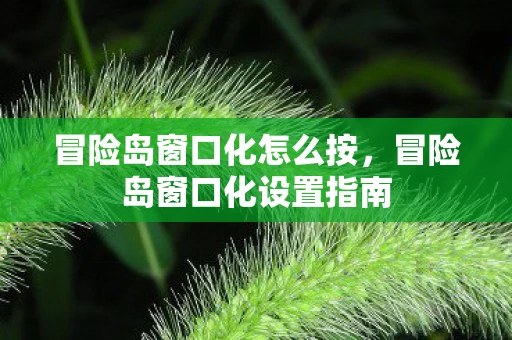 冒险岛窗口化怎么按,冒险岛窗口化设置指南 冒险岛窗口化怎么按,冒险岛窗口化设置指南