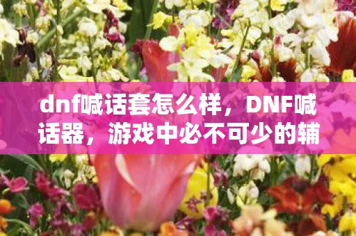 dnf喊话套怎么样,DNF喊话器,游戏中必不可少的辅助工具 dnf喊话套怎么样,DNF喊话器,游戏中必不可少的辅助工具