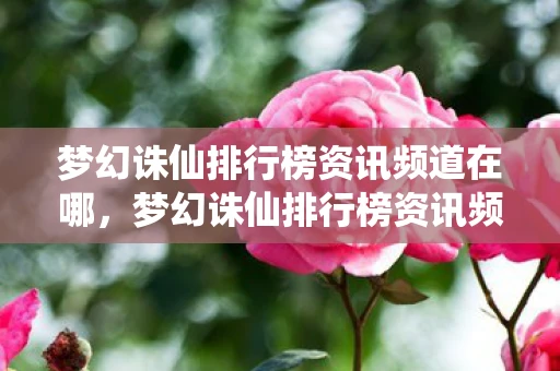 梦幻诛仙排行榜资讯频道在哪，梦幻诛仙排行榜资讯频道—探寻仙侠世界的强者之巅