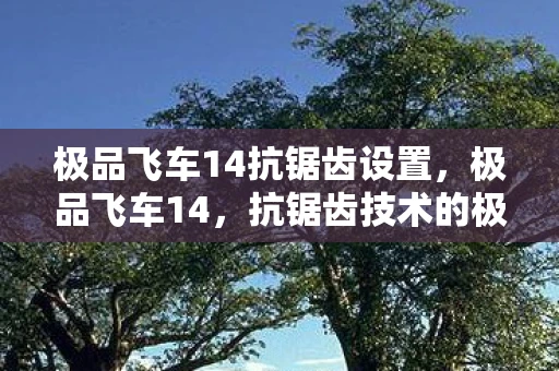 极品飞车14抗锯齿设置，极品飞车14，抗锯齿技术的极致展现