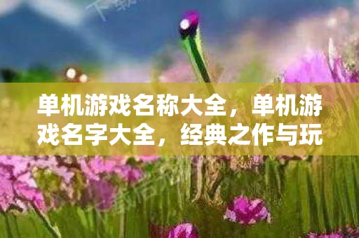 单机游戏名称大全，单机游戏名字大全，经典之作与玩家心中的永恒回忆