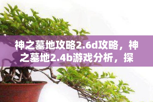 神之墓地攻略2.6d攻略，神之墓地2.4b游戏分析，探索神秘墓地，挑战无尽神魔