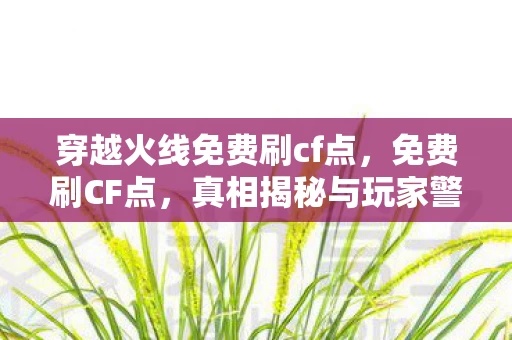 穿越火线免费刷cf点，免费刷CF点，真相揭秘与玩家警示