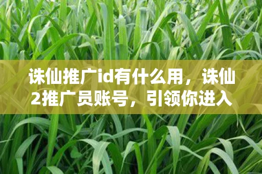 诛仙推广id有什么用,诛仙2推广员账号,引领你进入奇幻仙境的神秘钥匙 诛仙推广id有什么用,诛仙2推广员账号,引领你进入奇幻仙境的神秘钥匙