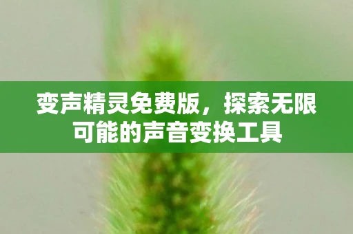 变声精灵免费版，探索无限可能的声音变换工具