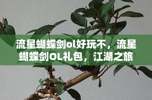 流星蝴蝶剑ol好玩不,流星蝴蝶剑OL礼包,江湖之旅的珍贵宝藏 流星蝴蝶剑ol好玩不,流星蝴蝶剑OL礼包,江湖之旅的珍贵宝藏