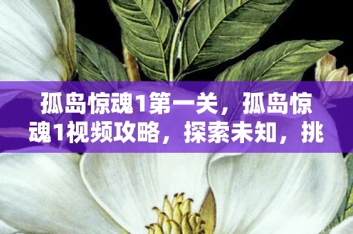 孤岛惊魂1第一关，孤岛惊魂1视频攻略，探索未知，挑战生存