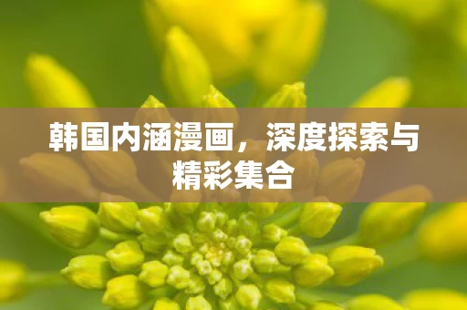 深度探索与精彩集合图片