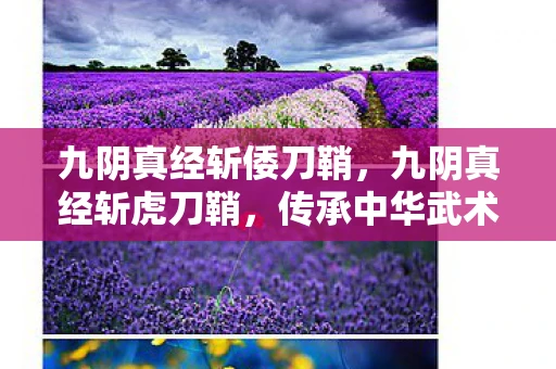 九阴真经斩倭刀鞘,九阴真经斩虎刀鞘,传承中华武术文化的神秘武器 九阴真经斩倭刀鞘,九阴真经斩虎刀鞘,传承中华武术文化的神秘武器