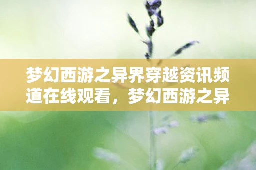 梦幻西游之异界穿越资讯频道在线观看，梦幻西游之异界穿越资讯频道，一场奇幻之旅的独家报道