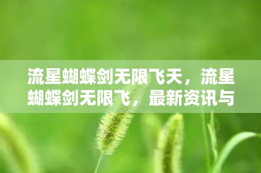 流星蝴蝶剑无限飞天,流星蝴蝶剑无限飞,最新资讯与解析 流星蝴蝶剑无限飞天,流星蝴蝶剑无限飞,最新资讯与解析