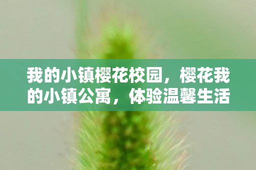 我的小镇樱花校园,樱花我的小镇公寓,体验温馨生活的游戏下载与体验 我的小镇樱花校园,樱花我的小镇公寓,体验温馨生活的游戏下载与体验