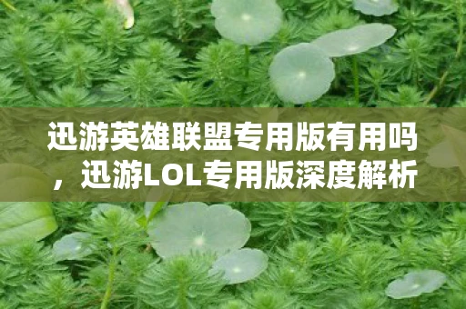 迅游英雄联盟专用版有用吗,迅游LOL专用版深度解析资讯频道 迅游英雄联盟专用版有用吗,迅游LOL专用版深度解析资讯频道