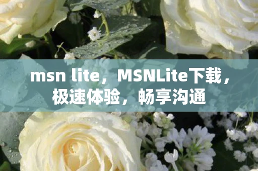 msn lite，MSNLite下载，极速体验，畅享沟通