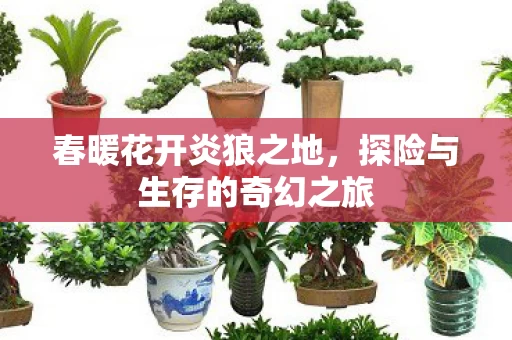 探险与生存的奇幻之旅图片
