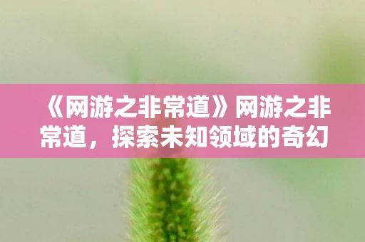 《网游之非常道》网游之非常道,探索未知领域的奇幻之旅 《网游之非常道》网游之非常道,探索未知领域的奇幻之旅