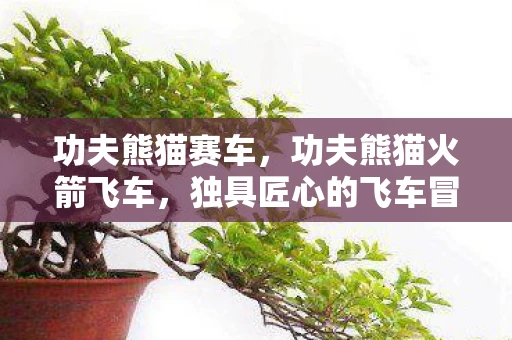 功夫熊猫赛车,功夫熊猫火箭飞车,独具匠心的飞车冒险之旅 功夫熊猫赛车,功夫熊猫火箭飞车,独具匠心的飞车冒险之旅