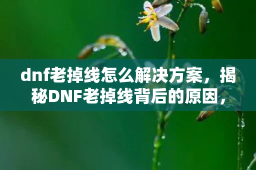 dnf老掉线怎么解决方案,揭秘DNF老掉线背后的原因,地下城与勇士频繁掉线问题深度剖析 dnf老掉线怎么解决方案,揭秘DNF老掉线背后的原因,地下城与勇士频繁掉线问题深度剖析