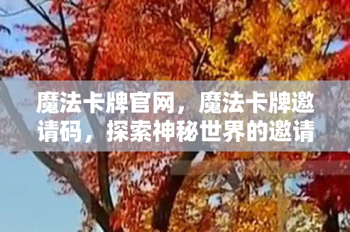 魔法卡牌官网，魔法卡牌邀请码，探索神秘世界的邀请之旅