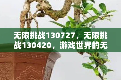 无限挑战130727，无限挑战130420，游戏世界的无限可能