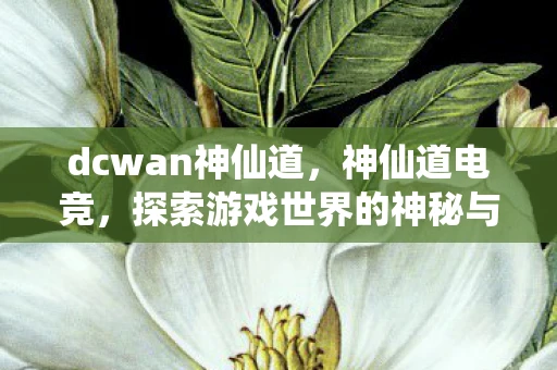 dcwan神仙道,神仙道电竞,探索游戏世界的神秘与激情 dcwan神仙道,神仙道电竞,探索游戏世界的神秘与激情