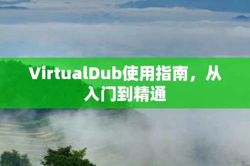VirtualDub使用指南图片