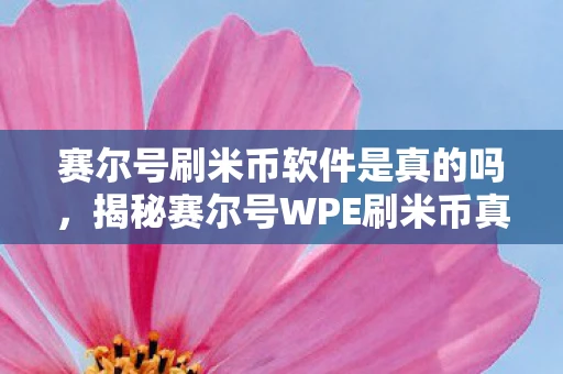 赛尔号刷米币软件是真的吗，揭秘赛尔号WPE刷米币真相，你需要知道的一切