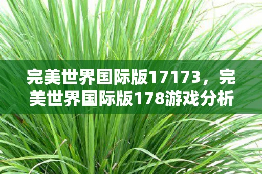 完美世界国际版17173，完美世界国际版178游戏分析
