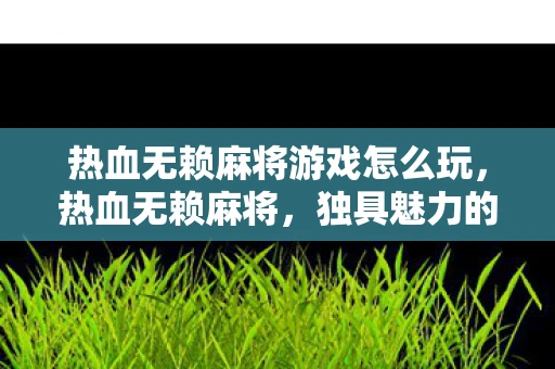 热血无赖麻将游戏怎么玩，热血无赖麻将，独具魅力的麻将游戏