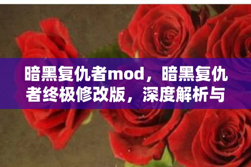 暗黑复仇者mod,暗黑复仇者终极修改版,深度解析与前瞻 暗黑复仇者mod,暗黑复仇者终极修改版,深度解析与前瞻