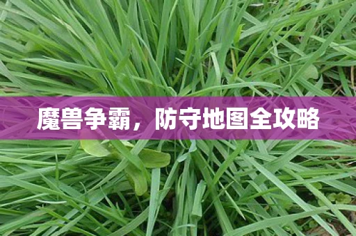 防守地图全攻略图片
