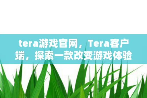 tera游戏官网，Tera客户端，探索一款改变游戏体验的工具