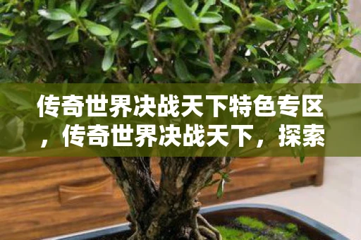 传奇世界决战天下特色专区,传奇世界决战天下,探索、挑战与荣耀的终极舞台 传奇世界决战天下特色专区,传奇世界决战天下,探索、挑战与荣耀的终极舞台