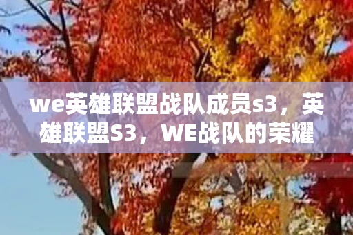 we英雄联盟战队成员s3，英雄联盟S3，WE战队的荣耀与挑战