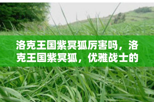 洛克王国紫冥狐厉害吗,洛克王国紫冥狐,优雅战士的全面解读 洛克王国紫冥狐厉害吗,洛克王国紫冥狐,优雅战士的全面解读