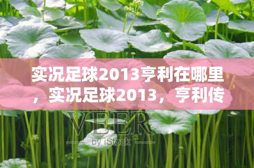 实况足球2013亨利在哪里，实况足球2013，亨利传奇再现球场