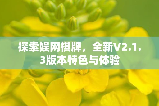 探索娱网棋牌，全新V2.1.3版本特色与体验