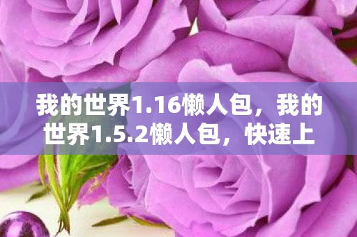 我的世界1.16懒人包,我的世界1.5.2懒人包,快速上手,畅享无限乐趣! 我的世界1.16懒人包,我的世界1.5.2懒人包,快速上手,畅享无限乐趣!