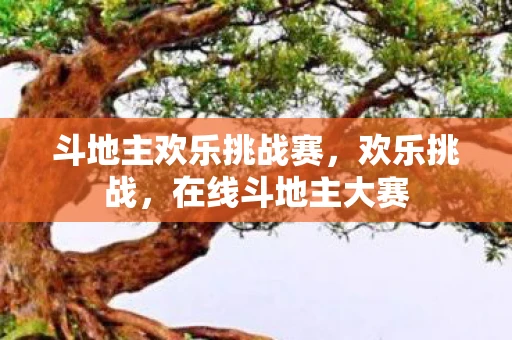 斗地主欢乐挑战赛，欢乐挑战，在线斗地主大赛