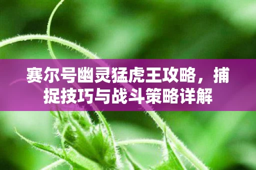 捕捉技巧与战斗策略详解图片